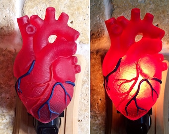 Anatomical Heart Nightlight