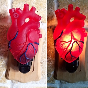 Anatomical Heart Nightlight