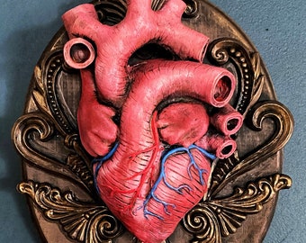 Anatomisk väggplack för mänskligt hjärta