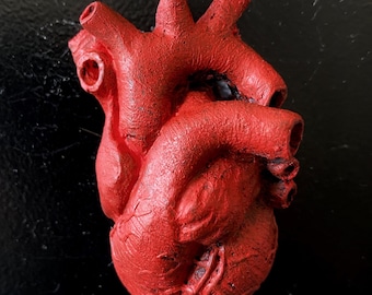 Magnete a forma di cuore anatomico, scultura in resina dipinta a mano / arte medica gotica / decorazioni fantasy e gotiche