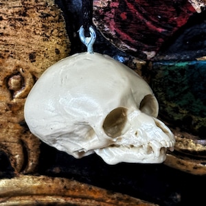 Werewolf Fetal Skull Ornament, Resin Sculpture | Gothic Fantasy Skull Figurine | Werewolf Skull Ornament for Fantasy and Gothic Decor