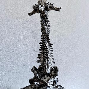 Helix Ossuary Spine Candlestick Holder, Hand Sculpted Resin Sculpture| Spooky Gothic Candle,Spine Candle for Halloween Gift and Gothic Decor