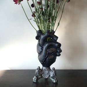 Anatomical Heart Vase, Black Finish