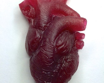 Anatomical Heart Magnet, Translucent Red