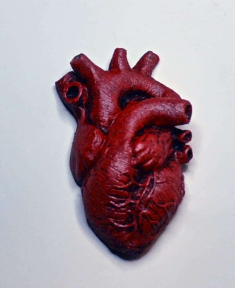 Anatomical Heart Magnet image 1