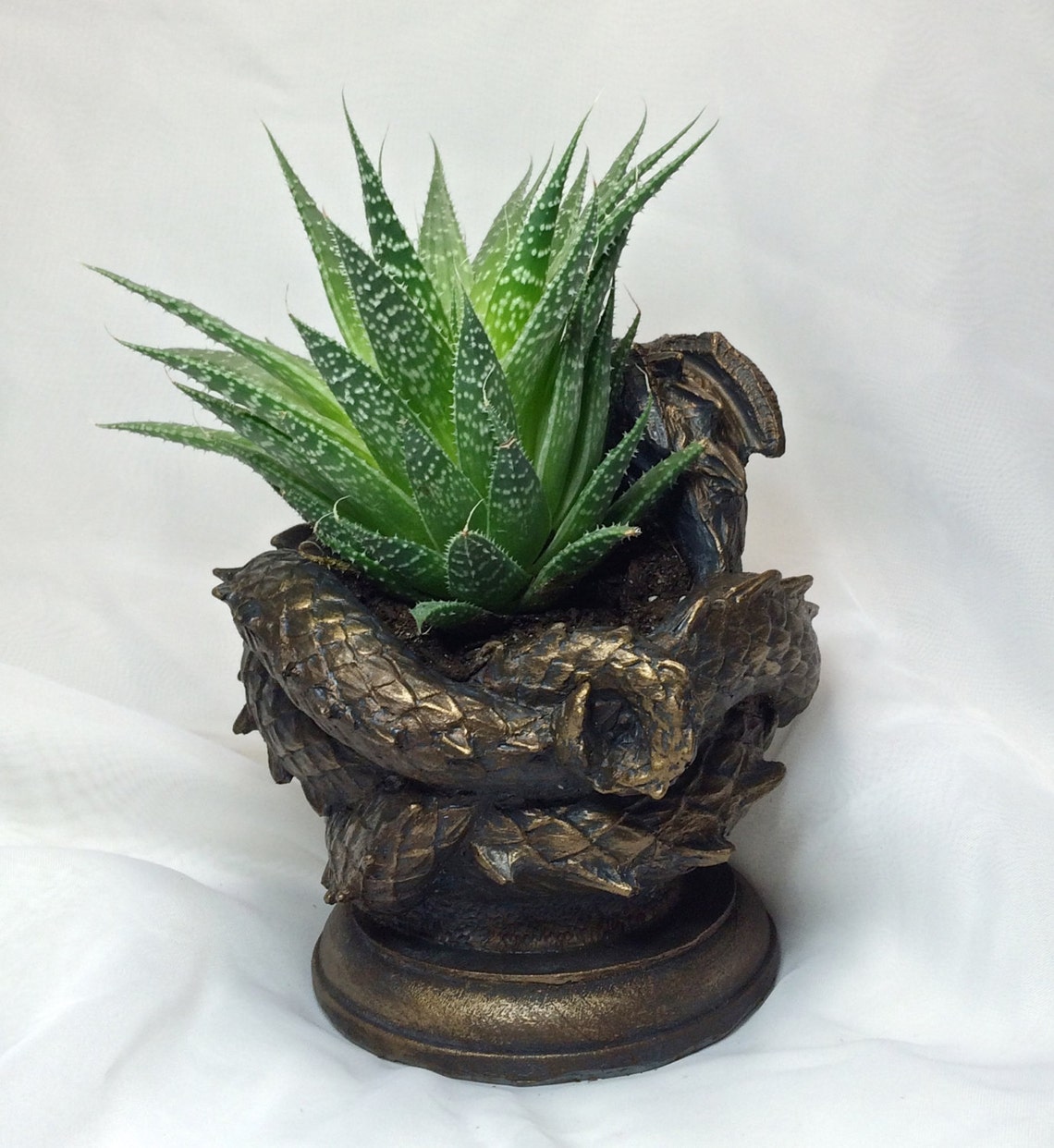 Coiled Dragon Planter Bronze Finish Etsy