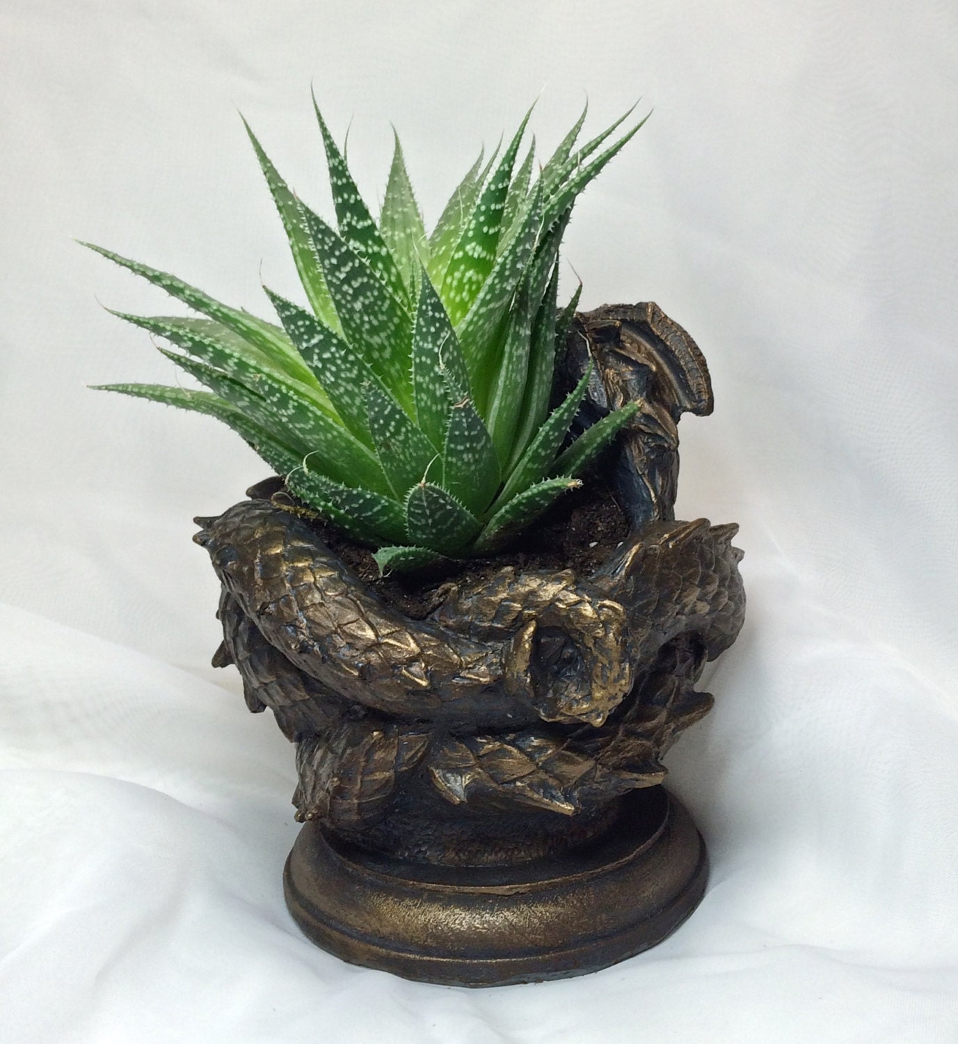 Coiled Dragon Planter Bronze Finish Etsy