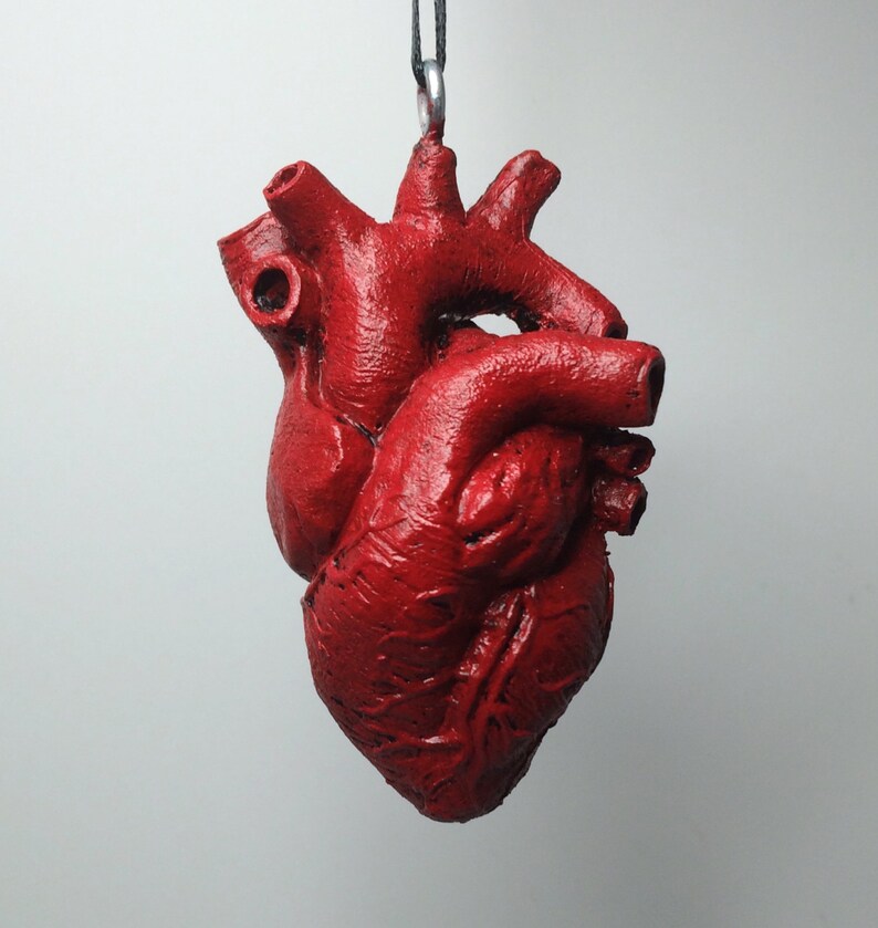 May include: A red anatomical heart pendant, a realistic replica of a human heart, hanging from a black cord.