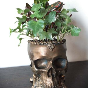 Human Skull Planter, Bronze Finish image 2