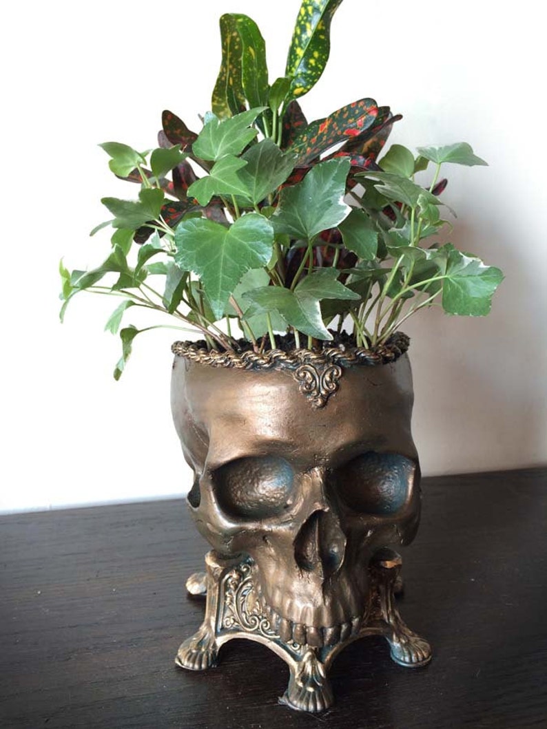 Human Skull Planter, Bronze Finish image 2