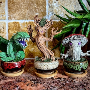 Puede incluir: Tres macetas de fantasía. Un dragón verde, una figura arbórea y una seta con ojos morados. Cada maceta está en una maceta decorativa con una base de madera. El dragón tiene una maceta roja y negra, el árbol tiene una maceta beige y la seta tiene una maceta verde.