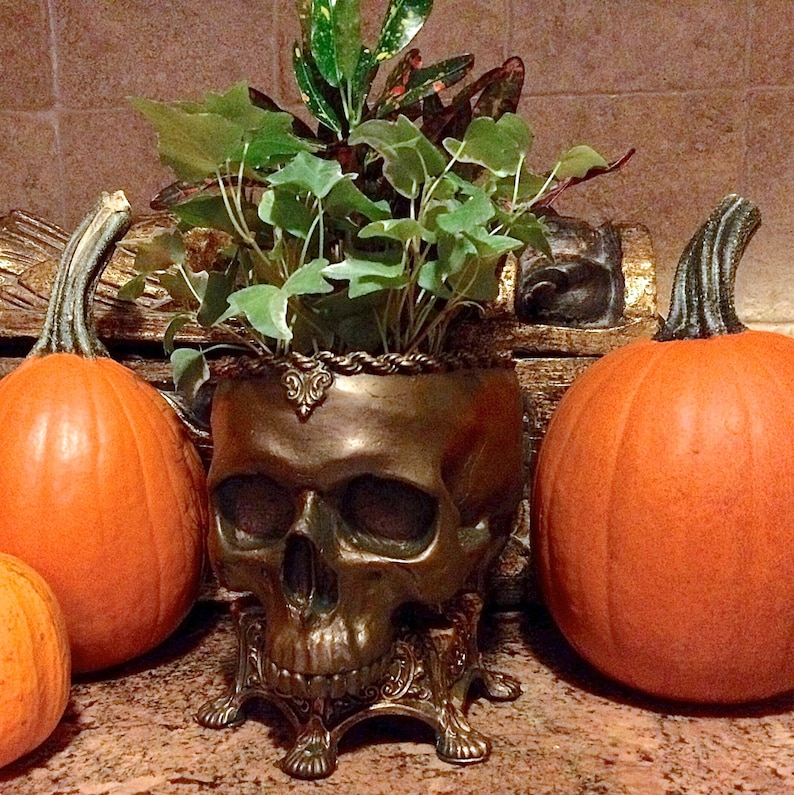 Human Skull Planter, Bronze Finish image 1