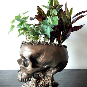 Human Skull Planter, Bronze Finish image 4