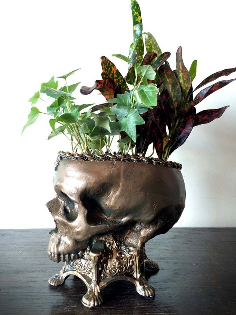 Human Skull Planter, Bronze Finish image 4