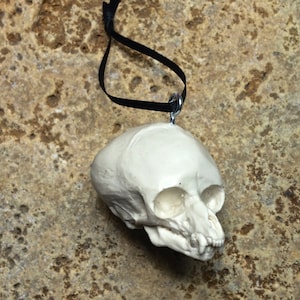 Werewolf Fetal Skull Ornament, Resin Sculpture | Gothic Fantasy Skull Figurine | Werewolf Skull Ornament for Fantasy and Gothic Decor