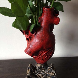 Anatomical Heart Vase, Red Finish image 3