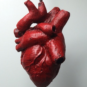 May include: A red anatomical heart pendant, made of resin, hangs from a black cord. The heart is detailed with realistic features and has a textured surface.