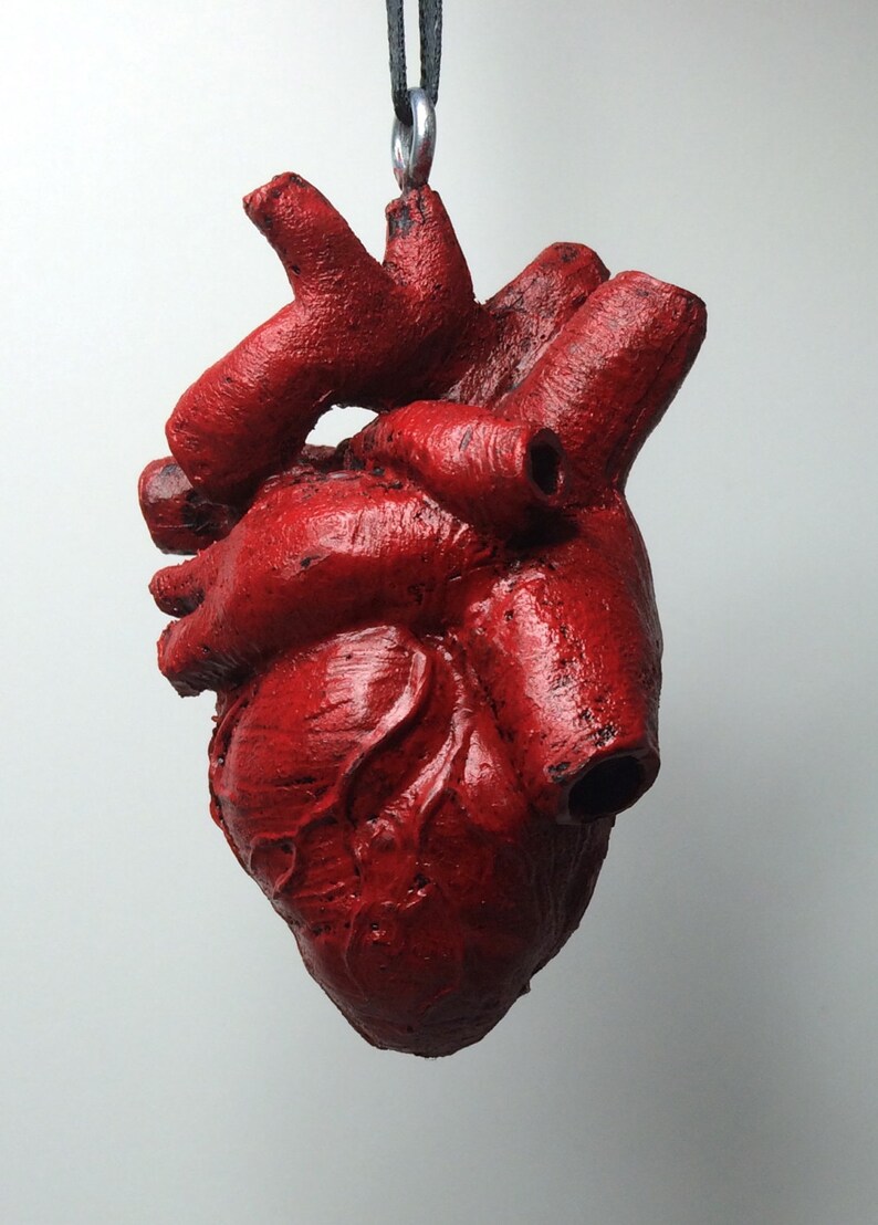 May include: A red anatomical heart pendant, made of resin, hangs from a black cord. The heart is detailed with realistic features and has a textured surface.