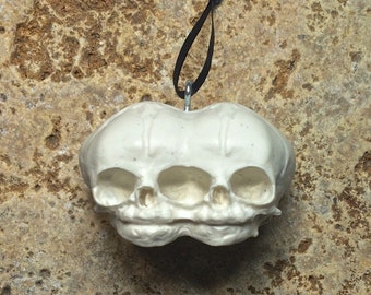 Conjoined Twins Fetal Skull Ornament