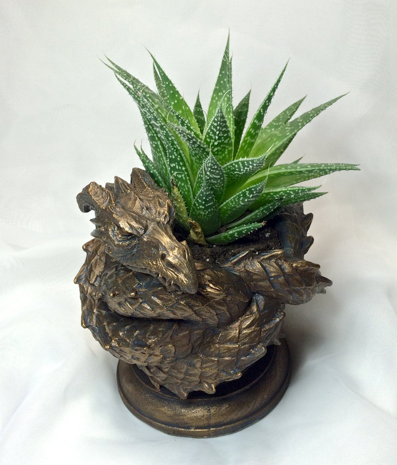Coiled Dragon Planter Bronze Finish Etsy