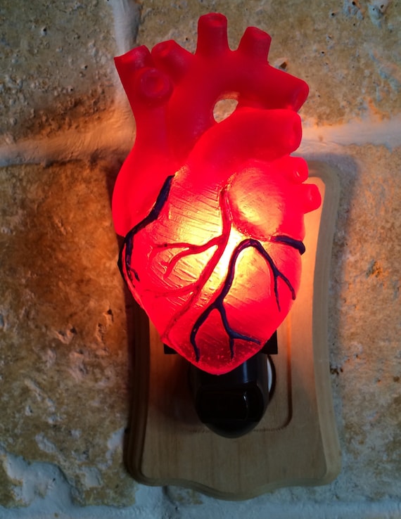 Anatomical heart lamp deals