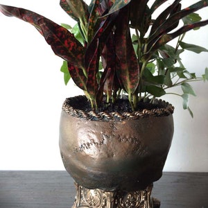 Human Skull Planter, Bronze Finish image 5