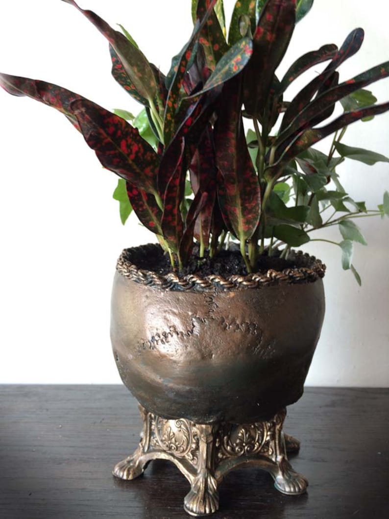 Human Skull Planter, Bronze Finish image 5