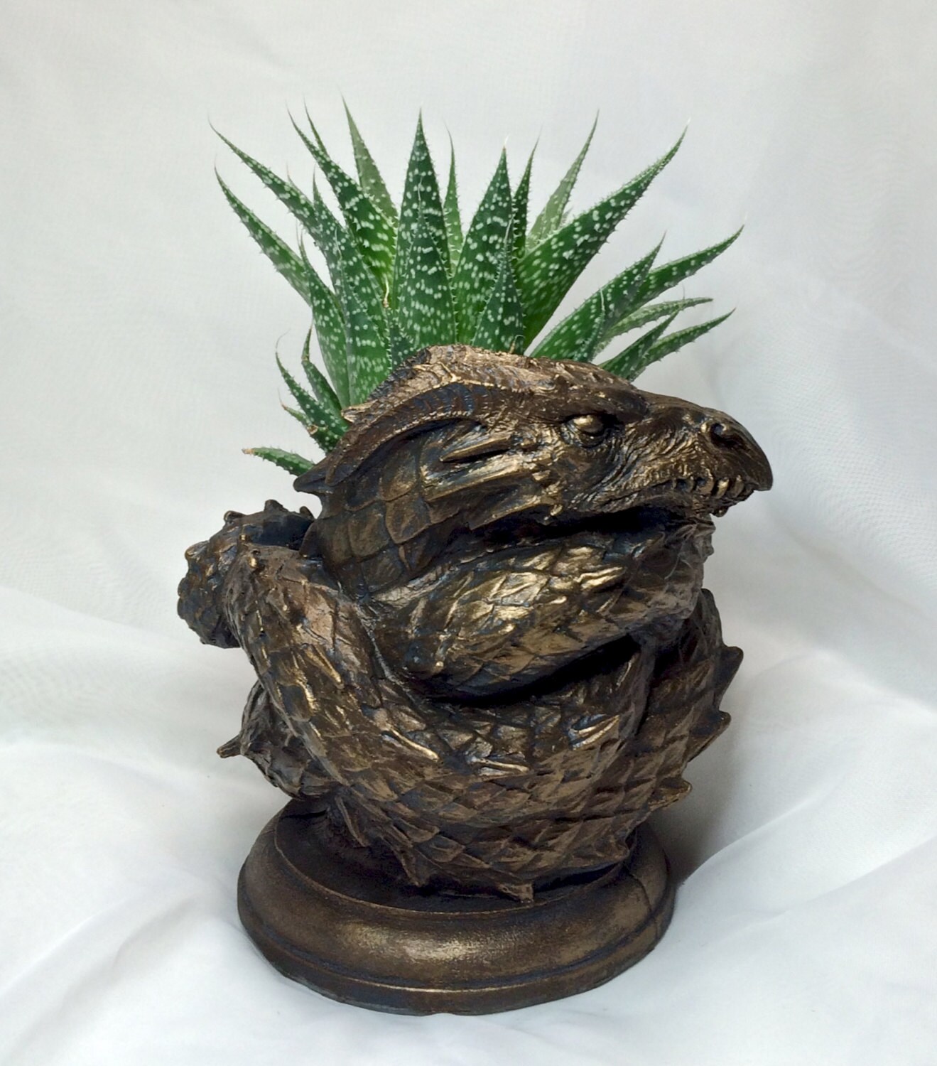 Coiled Dragon Planter Bronze Finish Etsy
