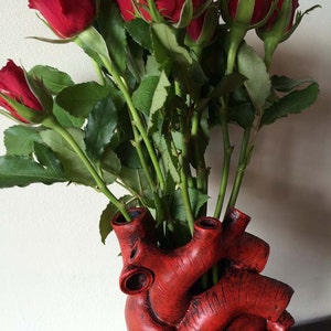 Anatomical Heart Vase, Red Finish image 2