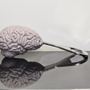Brain Bottle Opener, Hand Painted Resin | Gothic Medical Decor, Anatomy Brain Bottle Opener |Fantasy Gothic Wine and Barware Gift