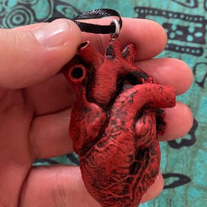 May include: A red anatomical heart pendant with a detailed texture, hanging from a black ribbon.