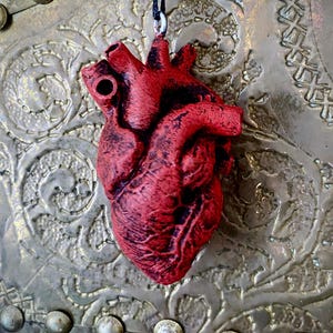 May include: A red anatomical heart pendant necklace. The heart is detailed and realistic, with visible veins and chambers. The necklace is made of a black cord.