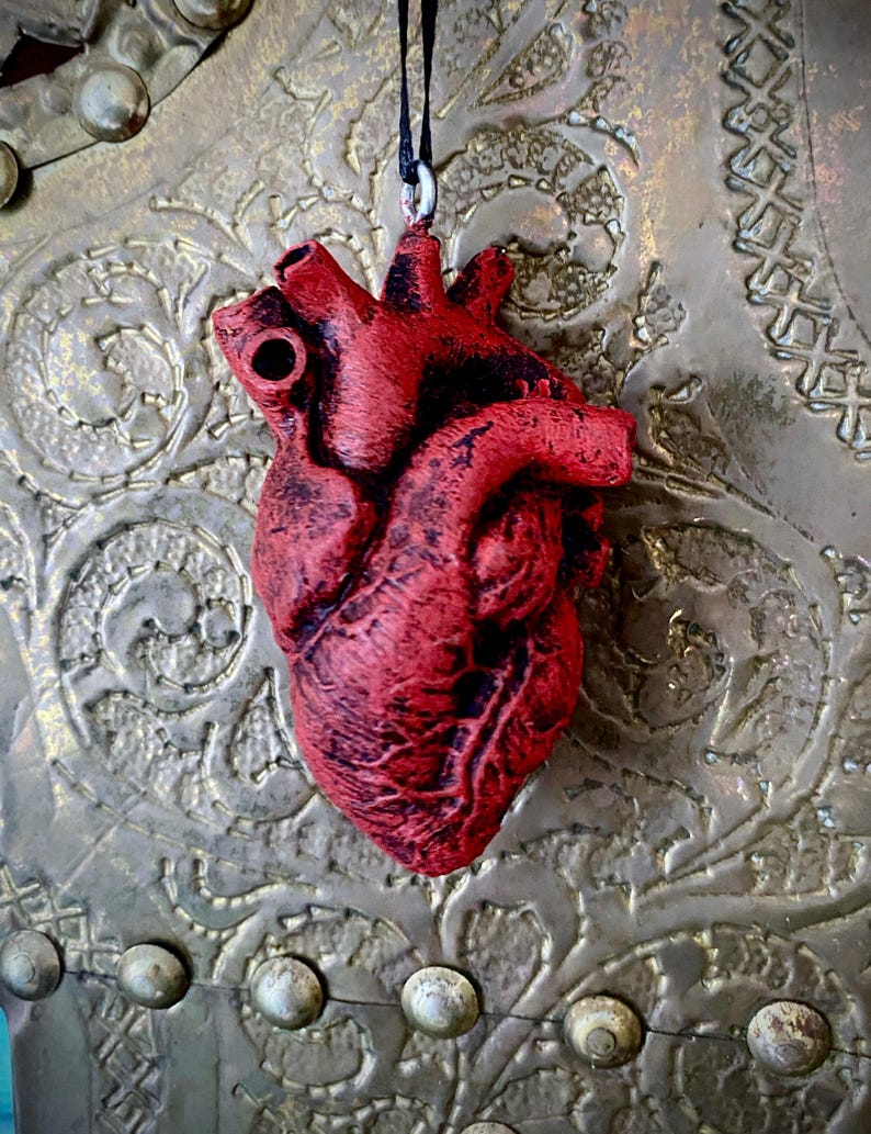 May include: A red anatomical heart pendant necklace. The heart is detailed and realistic, with visible veins and chambers. The necklace is made of a black cord.