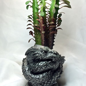 Coiled Dragon Planter, Pewter Finish