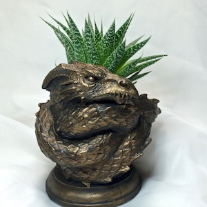 Coiled Dragon Planter, Bronze Finish