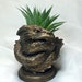 see more listings in the Vases and Planters section