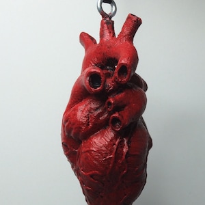 May include: A red anatomical heart pendant with a black cord. The heart is detailed with realistic features and is a unique and eye-catching piece of jewelry.