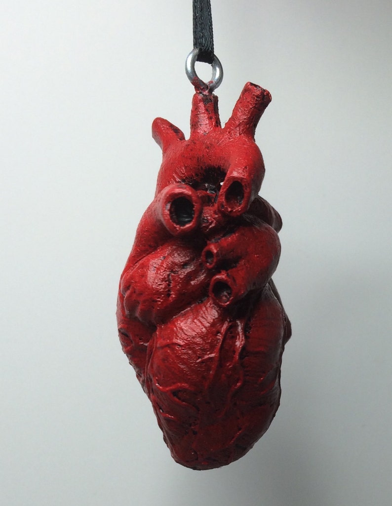 Anatomical Human Heart Ornament Etsy Canada