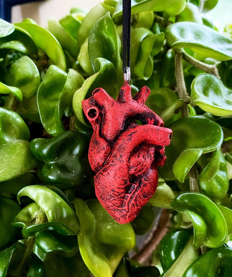 May include: A red anatomical heart pendant necklace. The heart is detailed with veins and chambers. The necklace is made of a black cord.
