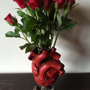 Anatomical Heart Vase, Red Finish image 5