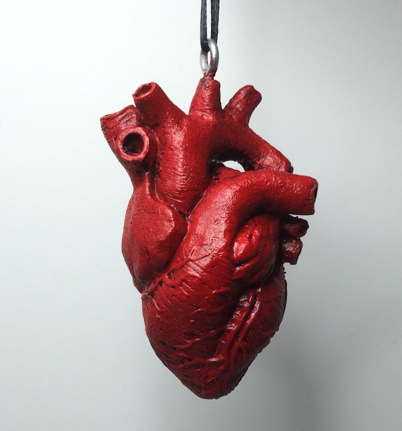 May include: A red anatomical heart pendant necklace. The heart is detailed and realistic, with visible veins and chambers. The necklace is made of a black cord and a silver metal clasp.