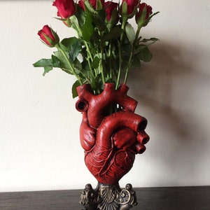 Anatomical Heart Vase, Red Finish