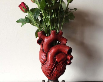 Anatomical Heart Vase, Red Finish