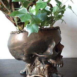 Human Skull Planter, Bronze Finish image 3