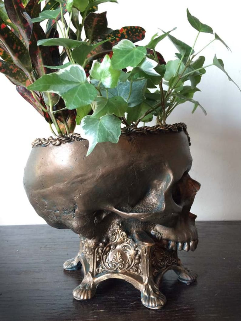 Human Skull Planter, Bronze Finish image 3