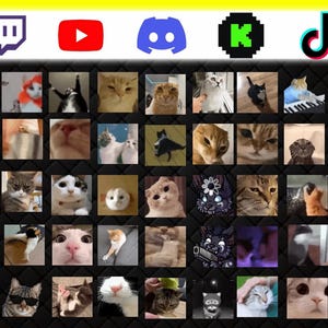 360+ Animated Cat Emotes Pack for Twitch, Discord, YouTube & Kick | Cute Funny Cat GIF PNG image 3