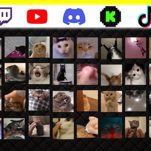 360+ Animated Cat Emotes Pack for Twitch, Discord, YouTube & Kick | Cute Funny Cat GIF PNG image 4