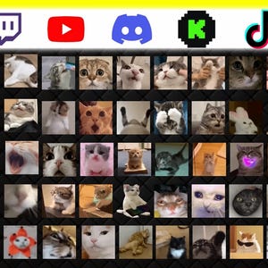 360+ Animated Cat Emotes Pack for Twitch, Discord, YouTube & Kick | Cute Funny Cat GIF PNG image 2