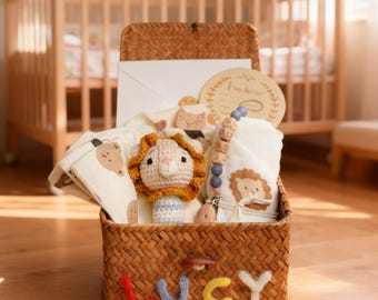 Personalized Baby Name Basket & Pacifier Clip, New Baby Gift Set, New Parents Gift Box: Baby Gift Basket, Baby Shower, Birth Stats Ornamen