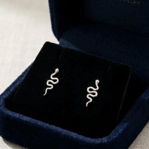 Op de afbeelding: Een paar zilverkleurige oorknopjes in de vorm van kleine, kronkelende slangen. De oorbellen hebben een gladde, gepolijste afwerking en worden gepresenteerd op een zwart fluwelen inzetstuk in een donkerblauw juwelendoosje met klapdeksel.
